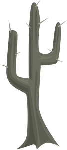 Spiny dark grey cactus
