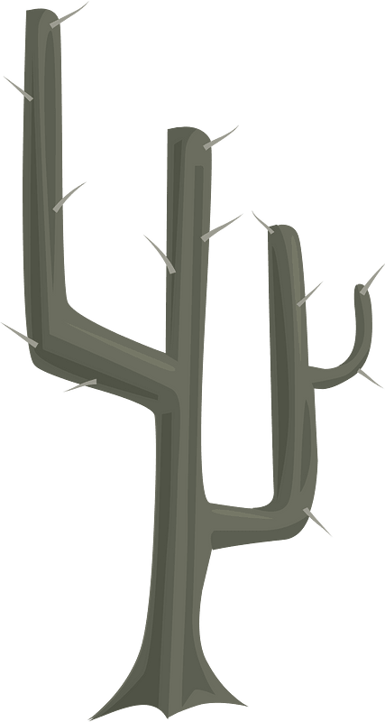Spiny dark grey cactus