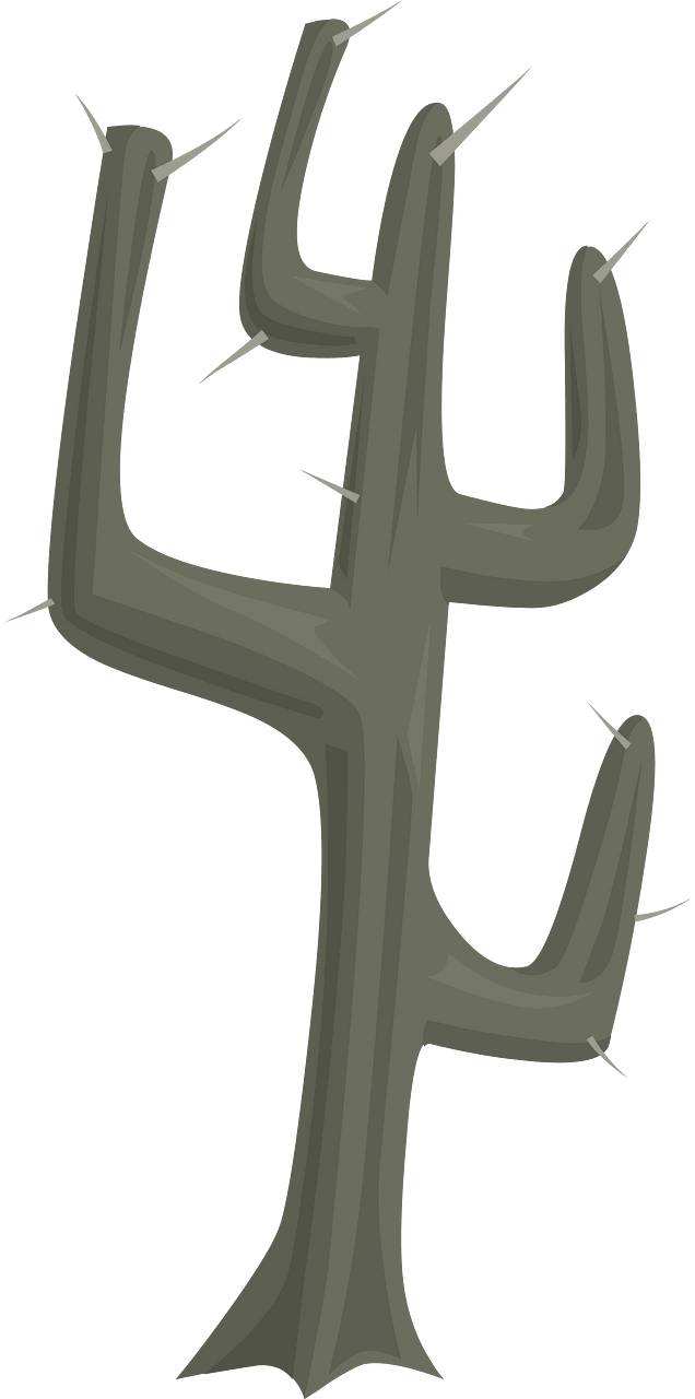 Spiny dark grey cactus