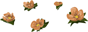 Branch flower brush orange