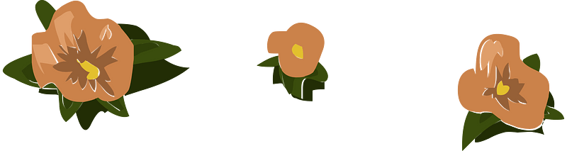 Branch flower brush orange