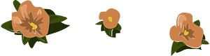 Branch flower brush orange