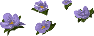 Branch flower brush purple