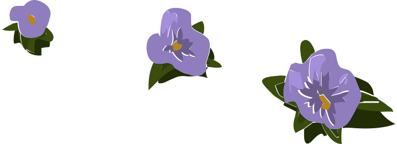 Branch flower brush purple