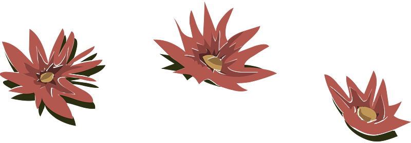Branch flower brush red