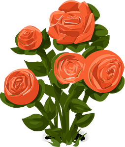 Five pink roses