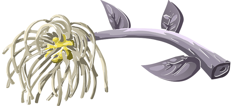Hairball fantasy flower
