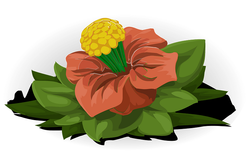 Orange fantasy flower