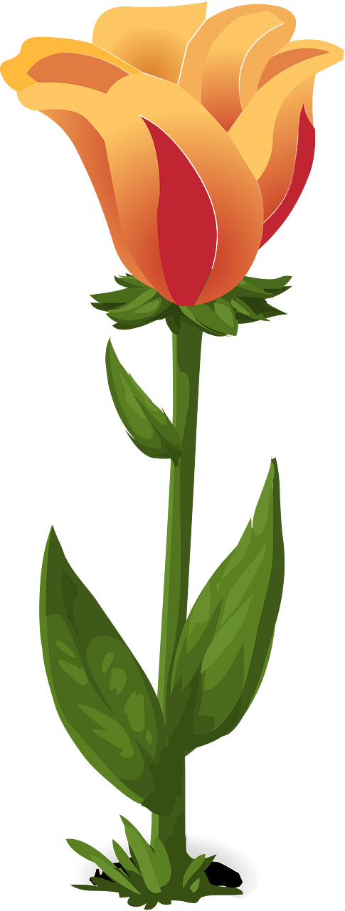 Orange fantasy flower