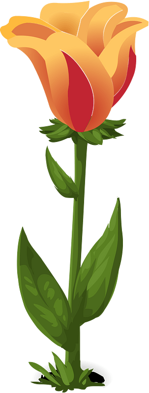 Orange fantasy flower