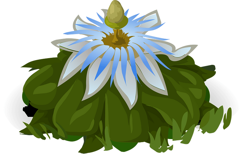 White blue fantasy flower