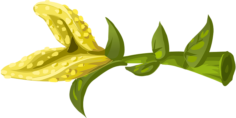 Yellow crumb fantasy flower