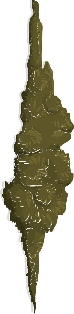 Green tree moss