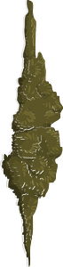 Green tree moss