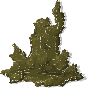 Green tree moss
