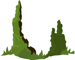 Green tree moss