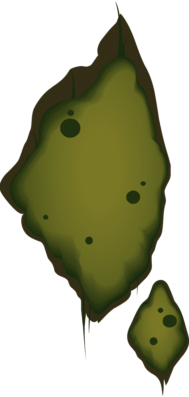 Green tree moss