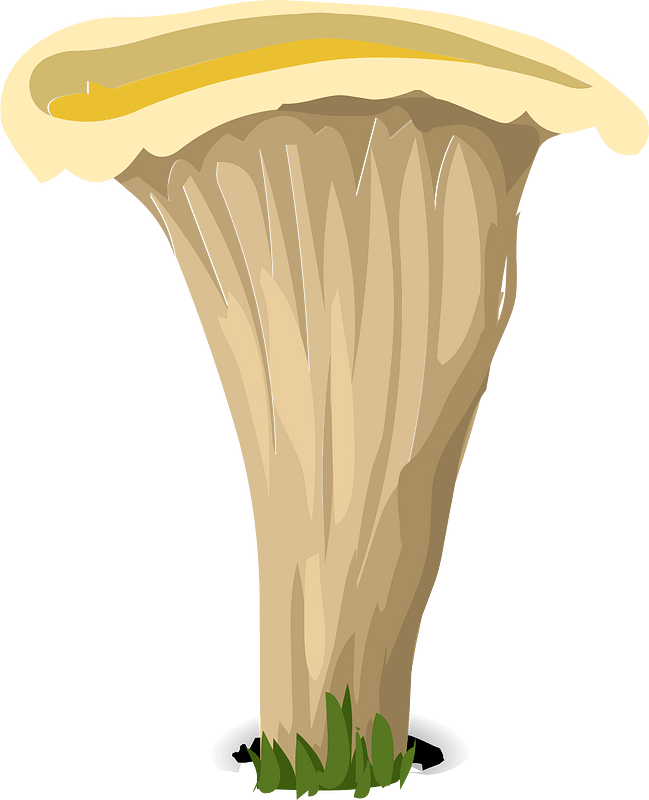 Brown mushroom