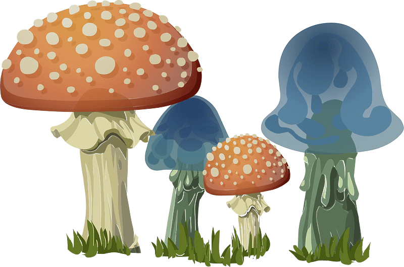 Fly agaric and blue mushrooms