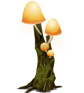 Four yellow mushrooms