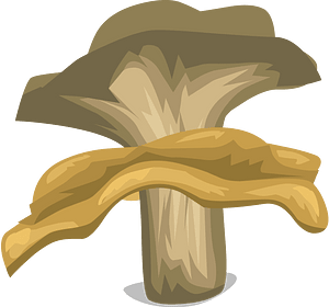 Light brown mushroom