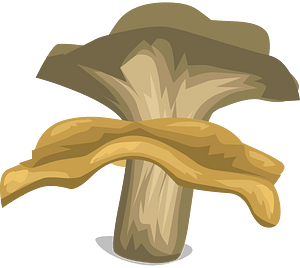 Light brown mushroom