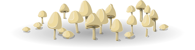 Mushroom bunch ground