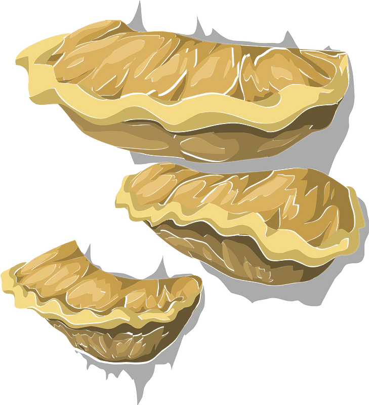 Mushroom oyster