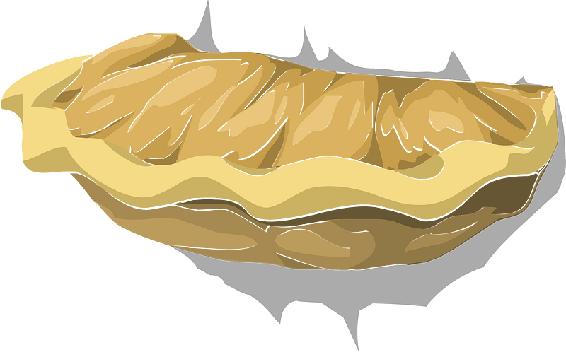 Mushroom oyster