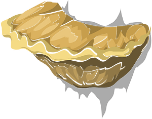 Mushroom oyster
