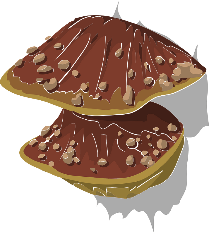 Mushroom tree