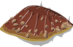 Mushroom tree