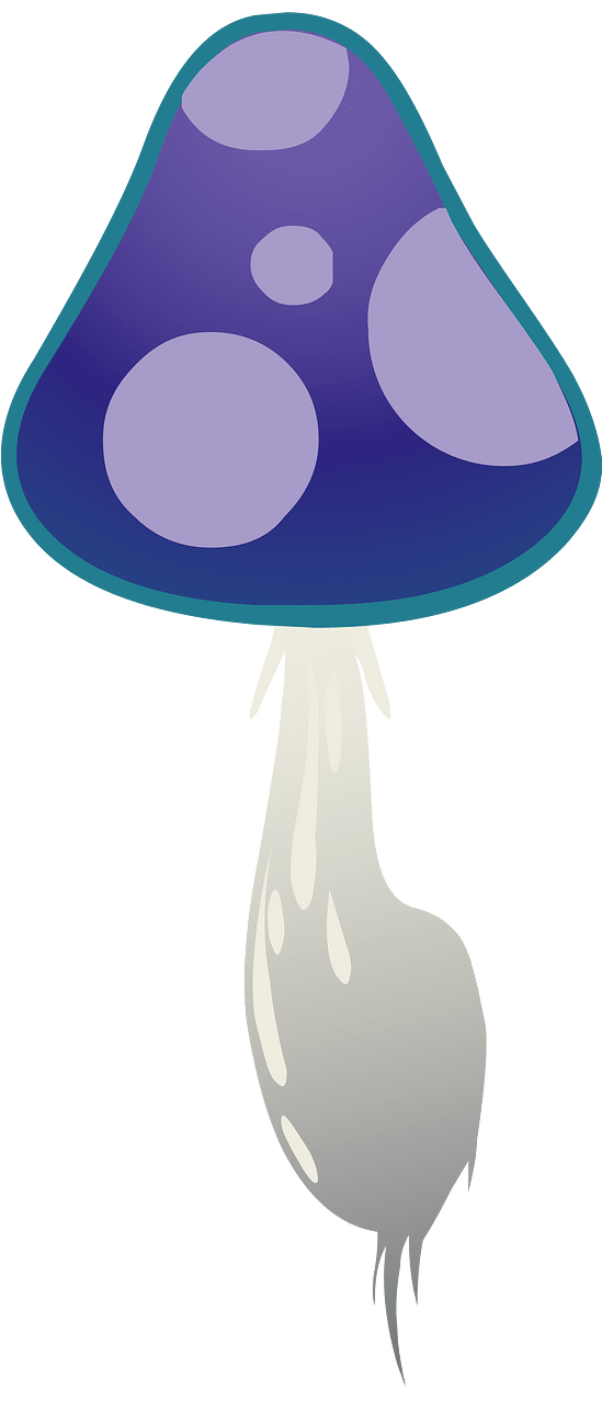 Purple mushroom