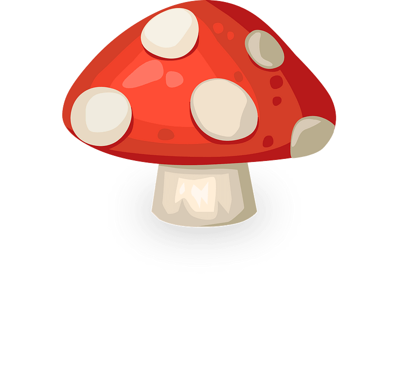 Red fly agaric mushroom