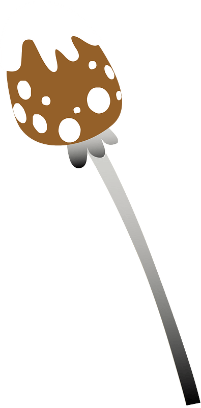 Red fly agaric mushroom