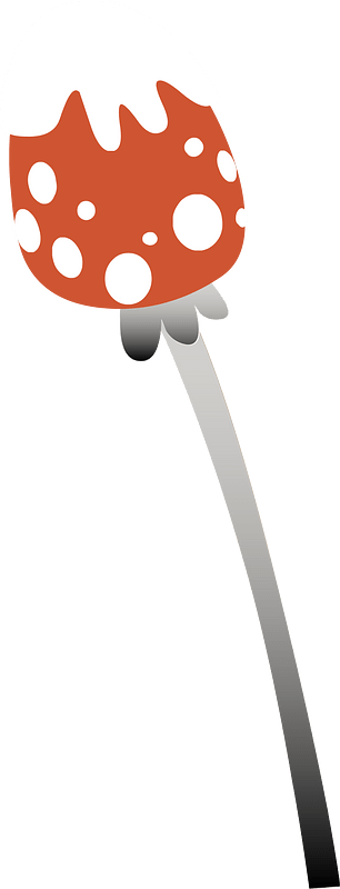 Red fly agaric mushroom
