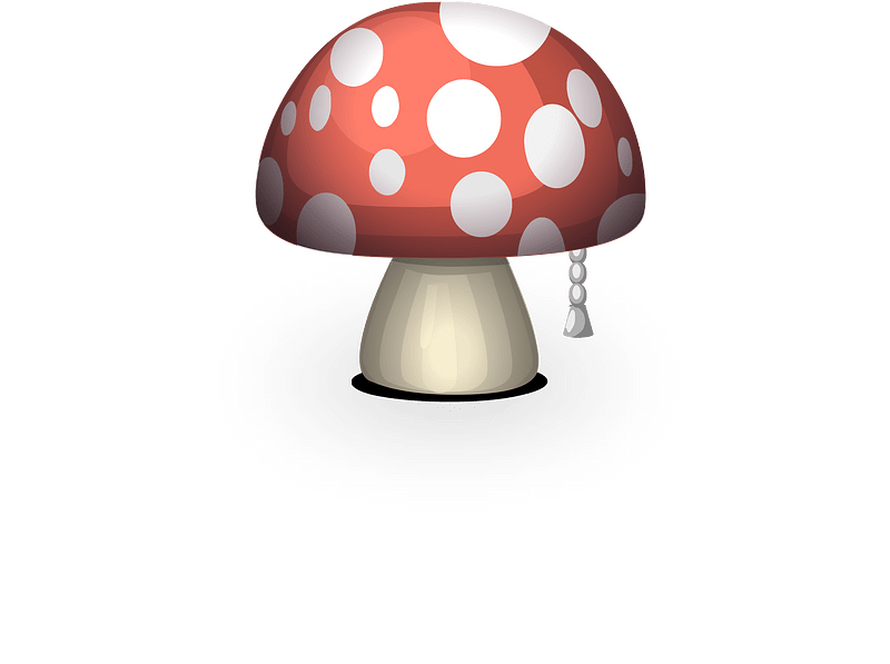 Red fly agaric mushroom