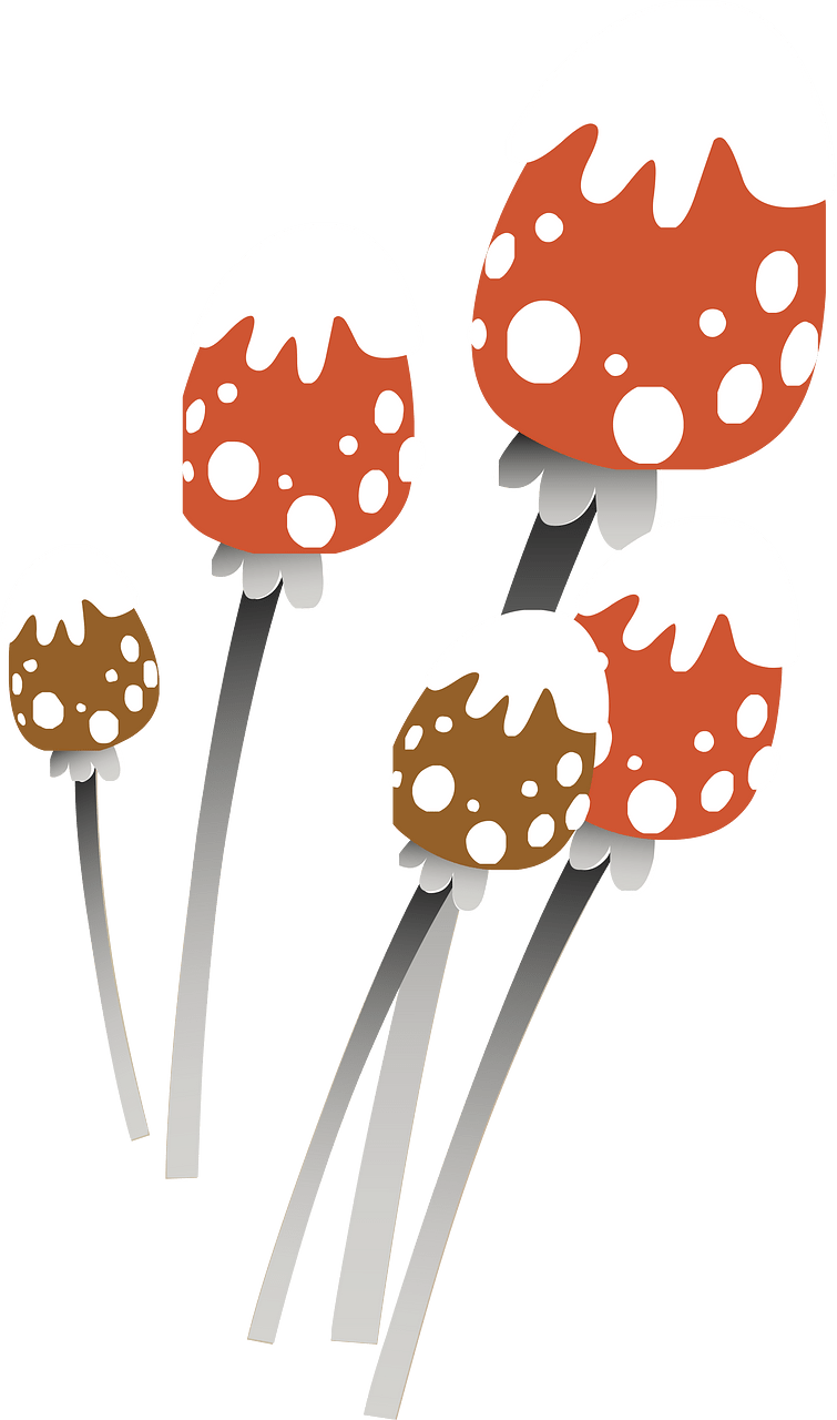 Red mushrooms