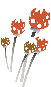 Red mushrooms