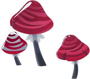 Three red mushrooms