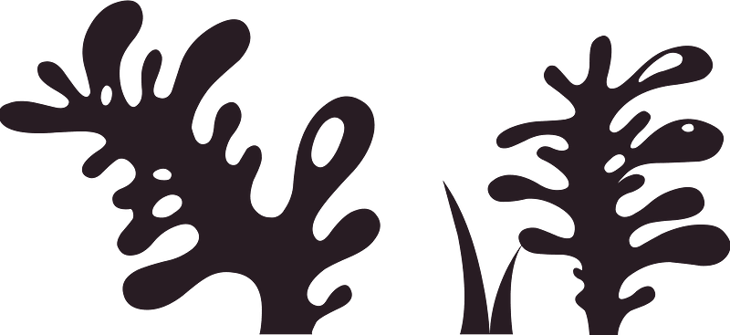 Black ground plant