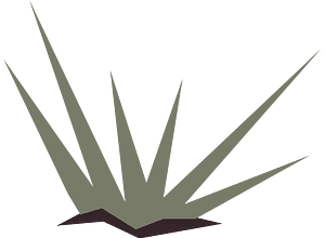 Brown fantasy plant