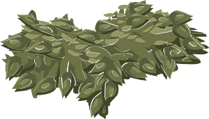 Draping plant