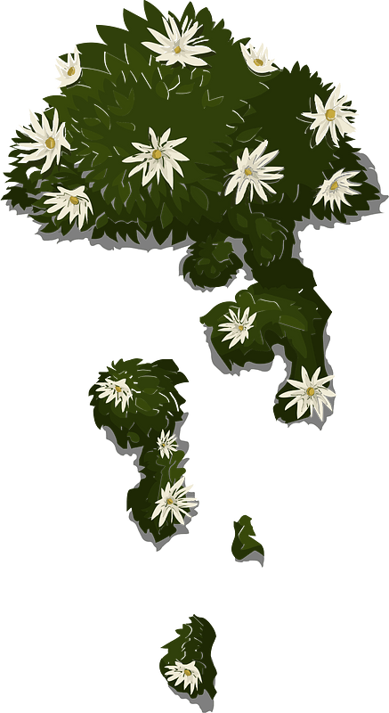 Draping plant