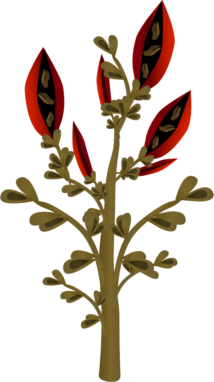 Fire bean