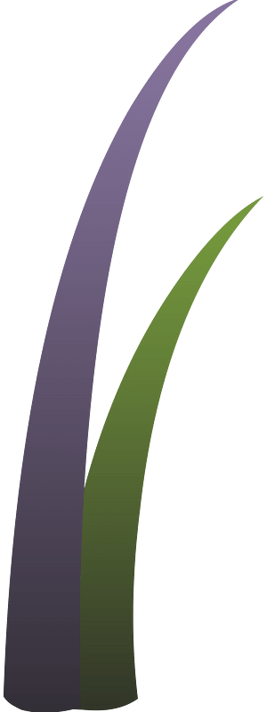 Green fantasy plant