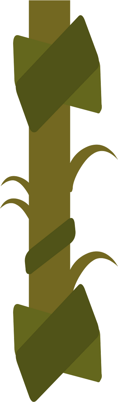 Green liana