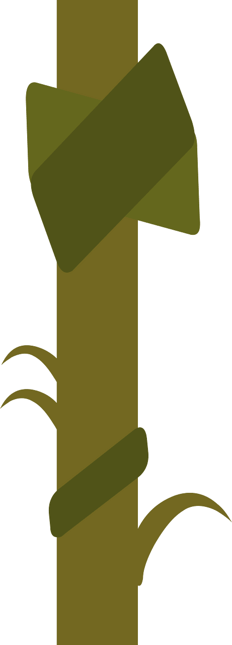 Green liana