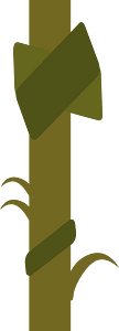 Green liana