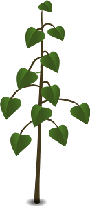 Green plant